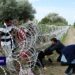 Number of irregular border crossings highest since 2016: EU’s external borders in 2022