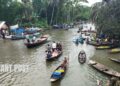 The beauty of floating guava market attracts hundreds of nature lovers