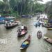 The beauty of floating guava market attracts hundreds of nature lovers